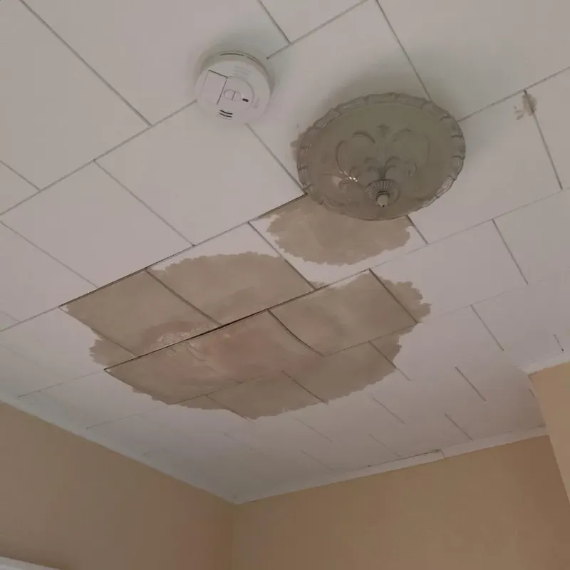 Ceiling Water Damage Repair in Denmark, ME