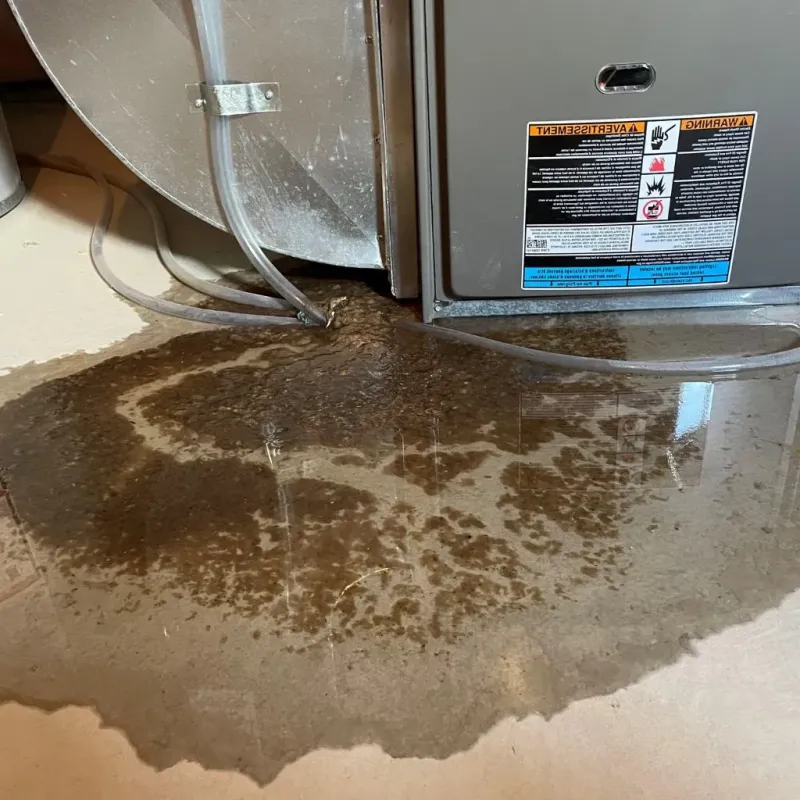 Pipe Burst and Leak Restoration in Denmark, ME